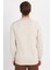 Erkek Slim Fit Dar Kesim Uzun Kol Polo Yaka Çizgili Taş Kazak 5