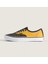 Skate Authentic 2