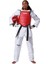 Kore Tarzı Antrenman Wt Onaylı Taekwondo Yarışma Yeleği.çift Taraflı Kadın-Erkek Yarışma Yeleği 10