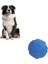 Mavi Renk Küçük Oyun Topu Köpek Oyun Topu 1