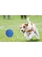 Mavi Renk Küçük Oyun Topu Köpek Oyun Topu 2