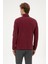 Erkek Plum Sweatshirt 50313777-VR177 5