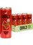 Mınty Melon Karpuz Nane Gazlı İçecek 250 ml x 8 Adet Ferahlatıcı ve Prebiyotik 2