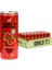 Mınty Melon Karpuz Nane Kutu 250 ml x 24 Adet 2