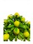 Dekoratif Limon Ağacı – 23 Limonlu, Saksılı ve Taşlı Plastik Bonsai 5