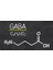 Gaba 750 Mg Neurotransmitter Strong Brain Health Vitamin Gamma-Aminobutyric Aci.d 7