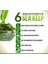 Kelp Whole 100 Capsules Thallus 100 Laminariales Sodium Iodine Thyroid Sodyum Mineral Iyot 8