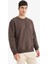 Relax Fit Bisiklet Yaka Kalın İçi Yumuşak Tüylü Basic Düz Sweatshirt T5139AZ25AU 3