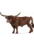 13866 T Longhorn Boğa, Renkli 1