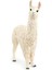 Lama 2