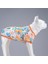 Orange Blossom Küçük, Orta ve Büyük Irk Köpek Tshirt Beden 0 3