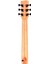 Ega-X0/na Auditorium Akustik Gitar 5
