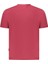 S-Lari Ss T-Shirt - NP0A4IE5R1E1 2