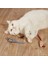 Peluş Fare Kedi Oyuncağı 3 Adet 1