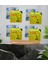 VEGA_100 Mg 4'lü Tablet x 4 Dizi Orjınal Vega_hap Erkeklere Özel Sertlestırıcı_li Hapı Istek_performans_güc_kuvvet Arttırıcı Uzun Süre Geçıktırıcı_li CÎALIS_VIAĞRA_VIEĞRA_20MG_5MG_TIMEOUTPERFORMANCE 1