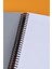 Tokaç My Lesson Plastik Kapak A4 7+3 250 Yaprak Spiralli 10 Bölmeli Ayraçlı Kareli Çizgili Defter TOK940 2