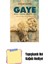 Gaye + Yapışkanlı Not Kağıdı 1