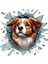Fulcar Australian Shepherd Araç Stickerı 1
