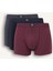 Regular Fit 3'lü Boxer E0023AX25AU 1