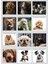2026 Köpek Masa Takvimi 4