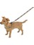 Köpek Göğüs Tasma Wild Life 50 - 80 cm, L 2