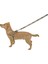 Köpek Göğüs Tasma Wild Life 50 - 80 cm, L 3