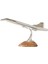 Concept Concord Biblo 30X18CM 1
