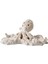 Concept Polpo Beyaz Biblo 28X24X12CM 1