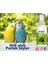 - Kafes Kuşları Için Tüy Bakım Sprey - 150 ml B Vitamini ve Biotin 2