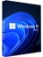 Windows 11 Pro 2025 - Elektronik Lisans 2