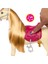 Bfs HXJ42 Barbie ve Dansçı Atı - Barbie Mysteries: The Great Horse Chase 3