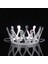 Bfs Gümüş Renk Çocuk ve Yetişkin Uyumlu Kraliçe Tacı Prenses Tacı 8X25 cm 3