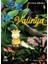 Valinya 1