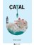 Çatal 1
