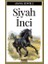 Siyah Inci 1