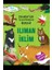 Ilıman Iklim - Çocuklar Için Yaratıcı Etkinliklerle Ekoloji - Kes-Boya-Yapıştır 1