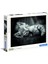 Kedi Yavruları 1000 Parça High Quality Collection Yetişkin Puzzle Kitty Clemkit 1