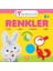 Küçük Tavşancık - Renkler 1