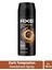 Dark Temptatıon Bay Parfüm Kofre 150 ml 1