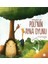 Poli'nin Ayna Oyunu-Zemzem Umay 1