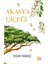 Akasya Çiçeği + Yapışkanlı Not Kağıdı 2