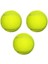 Köpek Oyun Topu Tenis Topu 1