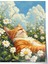 Çerçevesiz Poster, Papatyalar Arasında Yatan Kedi, Bahar Havası Poster No: 107346 1