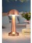 Mantar Model Dimmerli Şarjlı Retro Masa Lambası Rosegold 4