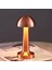 Mantar Model Retro Masa Lambası - Dimmerli, Şarjlı, Dekoratif ve Dokunmatik 1