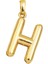 Balon H Harfi Altın Kolye Ucu 14 Ayar 1