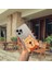 iPhone 15 Pro Max Uyumlu Şeffaf 'özel Tasarım Gölgeli Ayıcık Baskılı' Kılıf 2