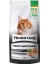 Hypo-Allergenic Tahılsız Somonlu Karidesli ve Enginarlı Yetişkin Kedi Maması 10 kg 2