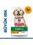 Science Plan Tavuklu Büyük Irk Yavru Köpek Maması 2,5 Kg (Puppy Healthy Development Large Breed with Chicken ) 1