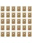 Conga Home Roidmi Eve Cc/conga 10000,8090 ULTRA,9090 Ai/eufy L50 L60 Ses/everybot Q5/haier H9+ Toz Torbası Çantası Için 30 Parça (Yurt Dışından) 1